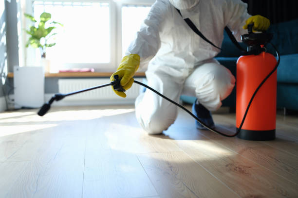 Reliable Biohazard contractor in Raymond, IL by Trauma Clean Pros